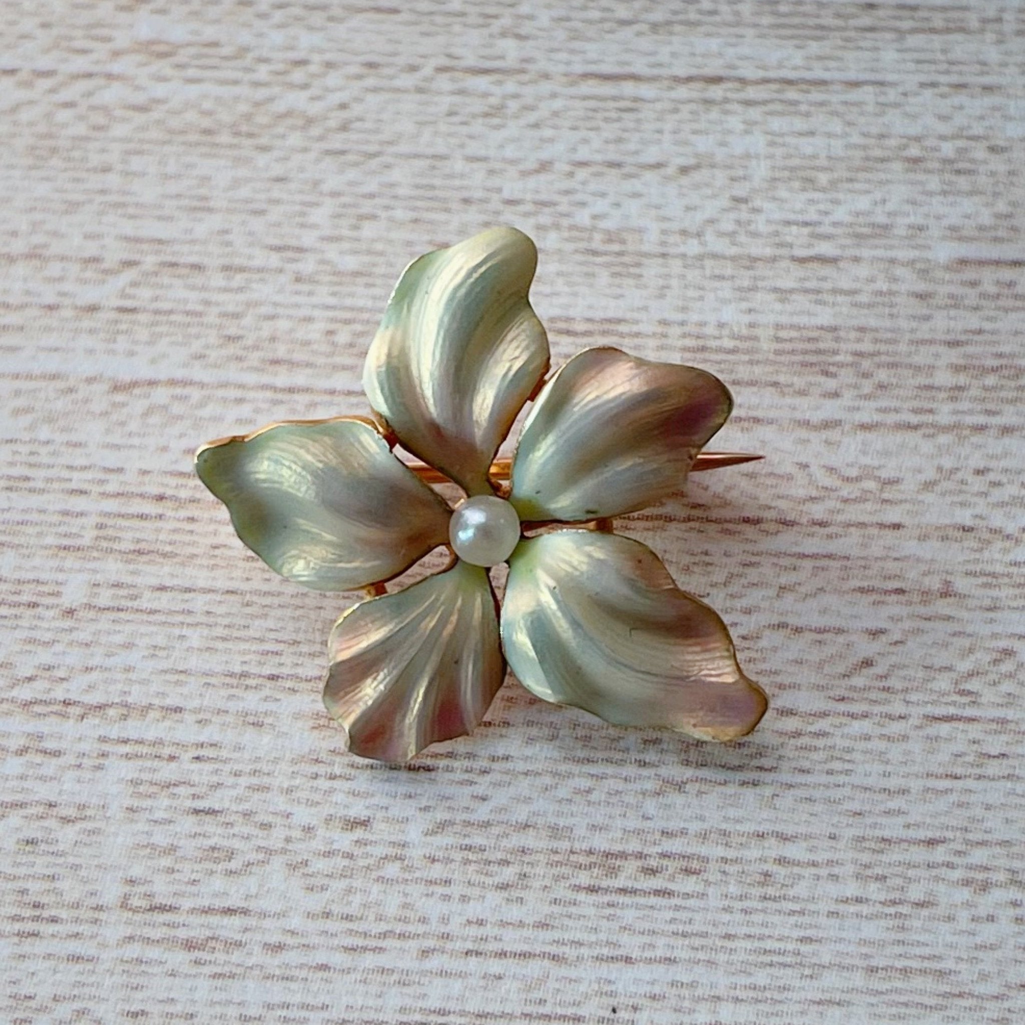 Whiteside & Blank Art Nouveau 14k Yellow Gold, Pearl, and Enamel Flower Pin - Clover Collective Antiques